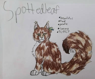 Warrior cats designs, Spottedleaf!