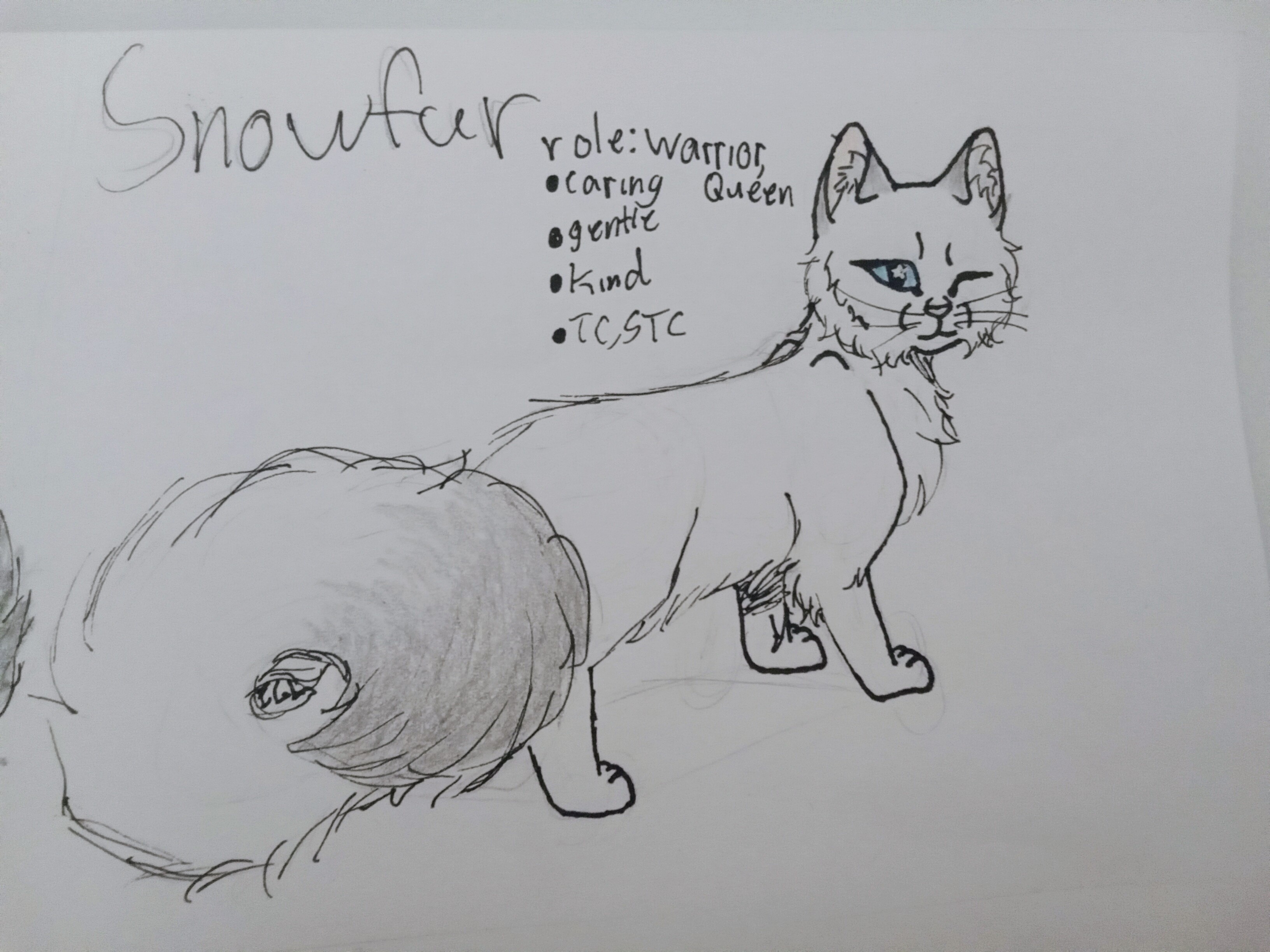 Snowtuft Warrior cats designs, Snowfur! by Emma0404 on DeviantArt