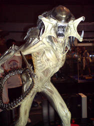 Predalien Maquette