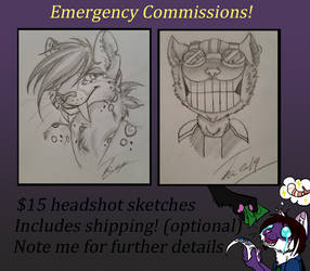 Emergency Sketch Commissions [OPEN]