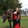 horse lady stock 12