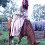 renaissance horse ride stock 1
