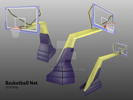 Portfolio Basketball Net