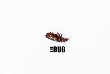 The BUG