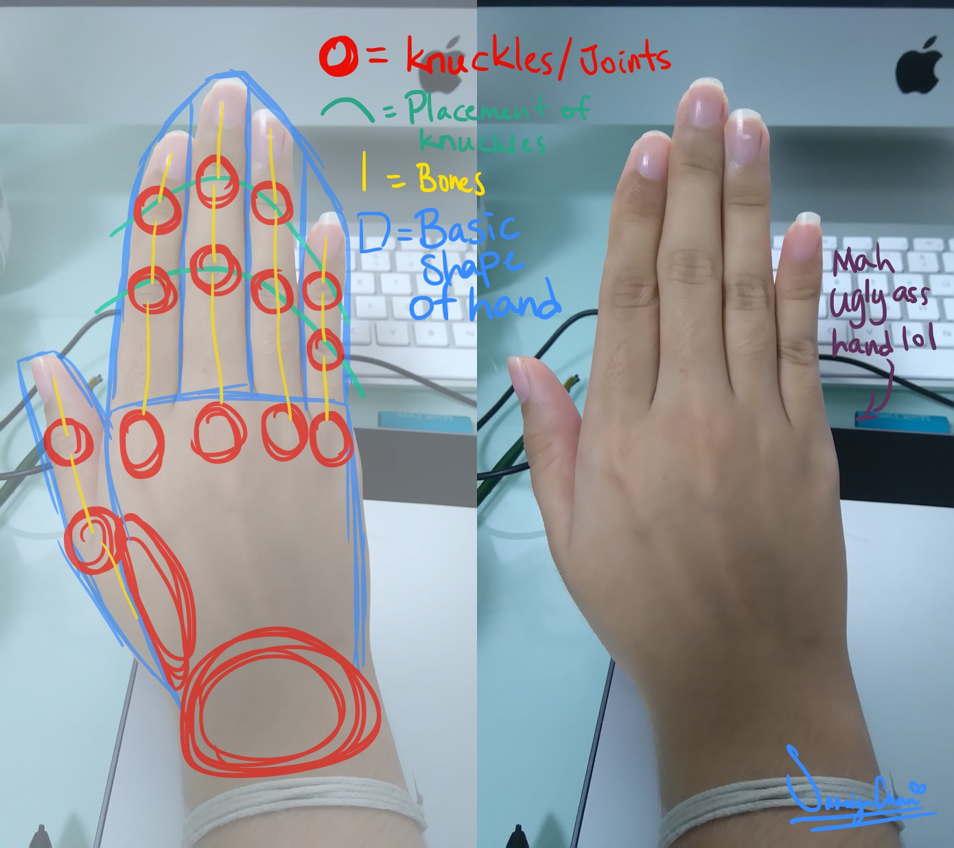 Tutorial: Guidelines for hands