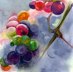 Colorful grapes by Why2be
