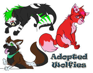 .:My Adopted Wolves:.