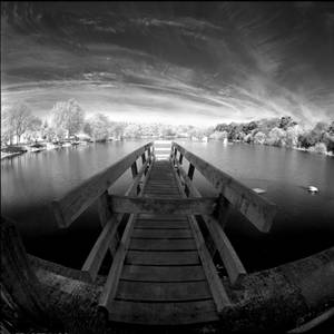 Fisheye Fishery