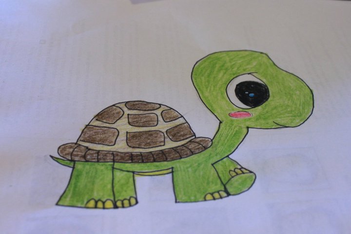 Turtle