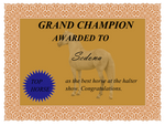Certificate by Diamondback-Ranch