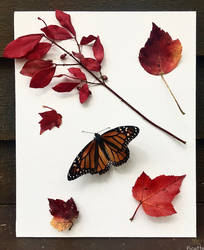 Autumn Collage