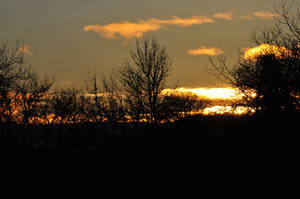 Sunset Behind the store 2