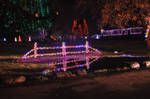 Festival of Lights 032 by MichaelGBrown