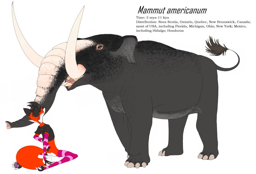 Mastodon Rats American mastodon by BipedalCynodont on DeviantArt