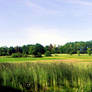 field
