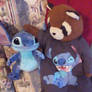 Raccoon and Stitch