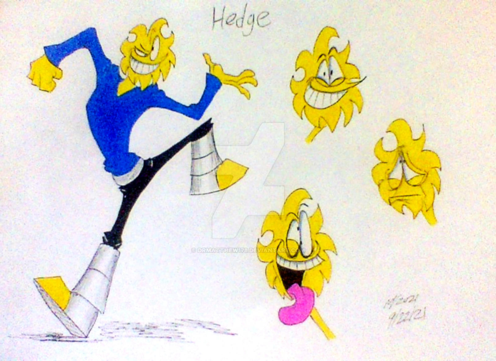 (The Invaders) Hedge (redraw) by DrMatthew178 on DeviantArt