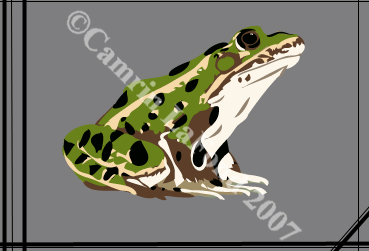 Vector Frog