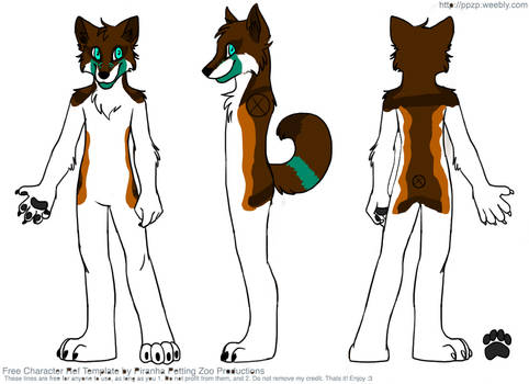 Matei Anthro Reference Sheet