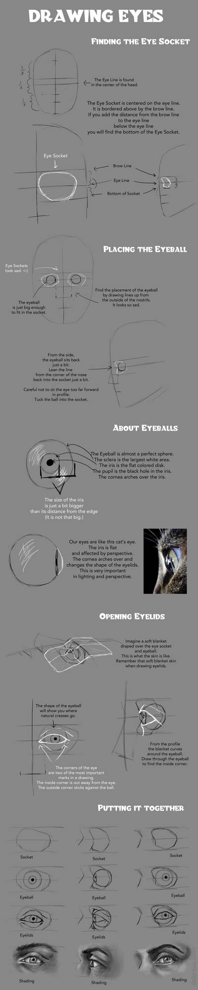 Drawing Eyes Tutorial By Banjodi On Deviantart Drawing Eyes Tutorial By Banjodi On Deviantart