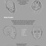 Drawing Heads and Necks Tutorial
