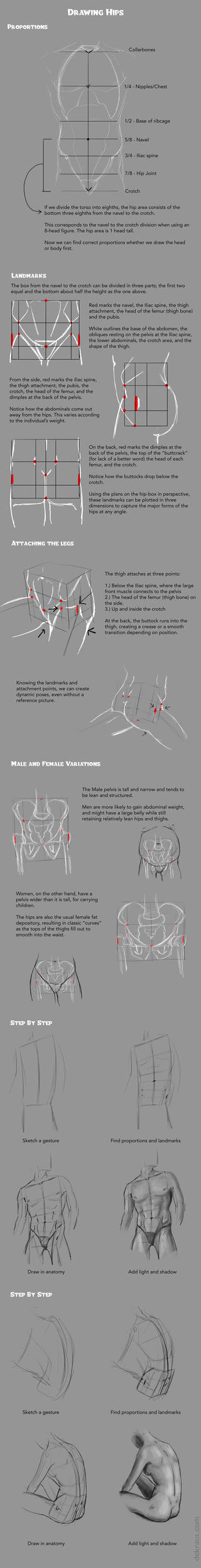 Hip Example Drawing Drawing Hips Tutorial by banjodi on DeviantArt
