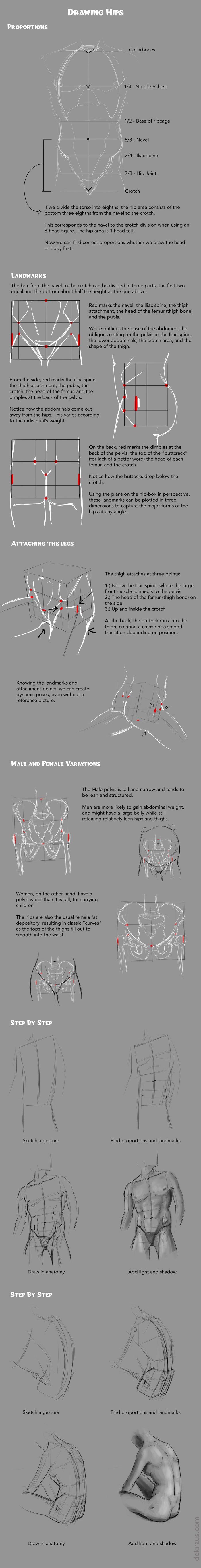 Hip Example Drawing Drawing Hips Tutorial by banjodi on DeviantArt