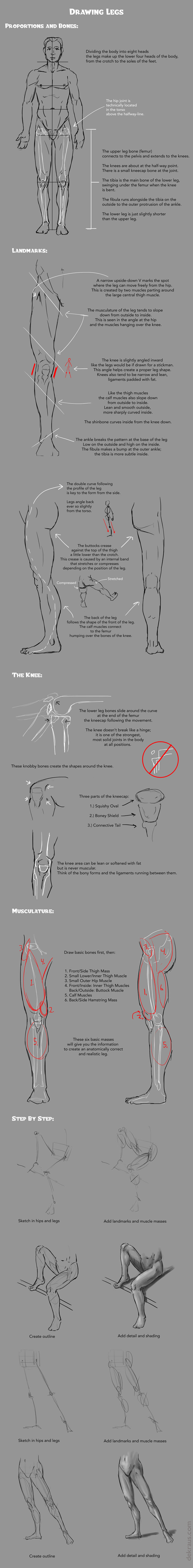 Drawing Legs Tutorial