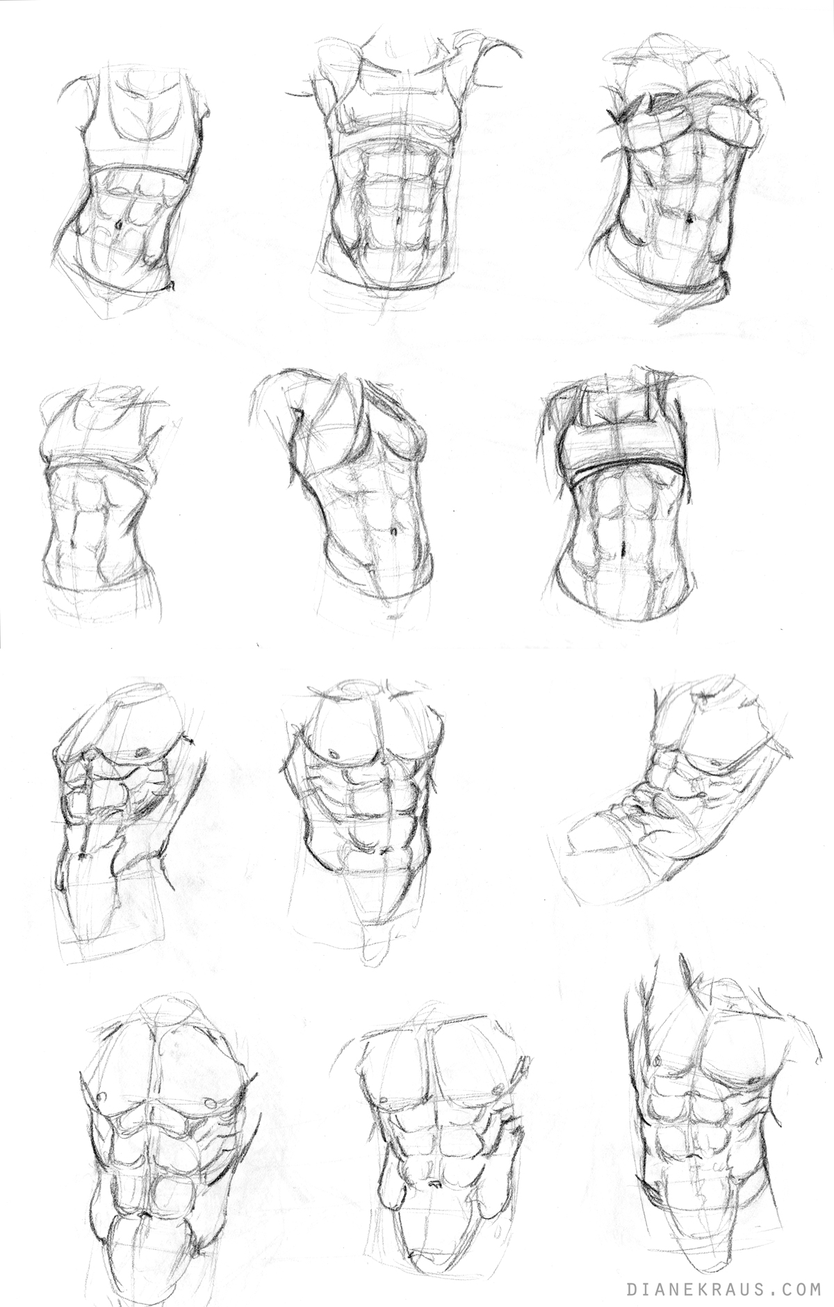 Torso Studies By Banjodi On Deviantart