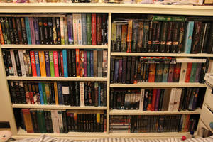 Bookcase - Rearranged with More Space