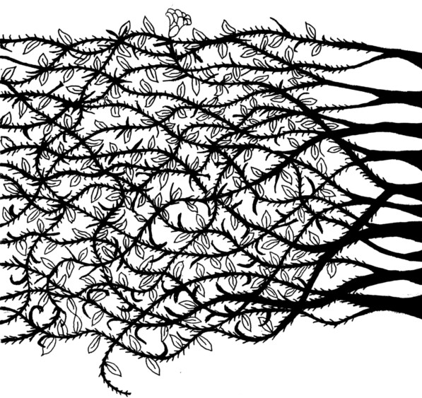 wallpapers Vines Drawing Thorns gothic thorn vines by juliannehannes on
