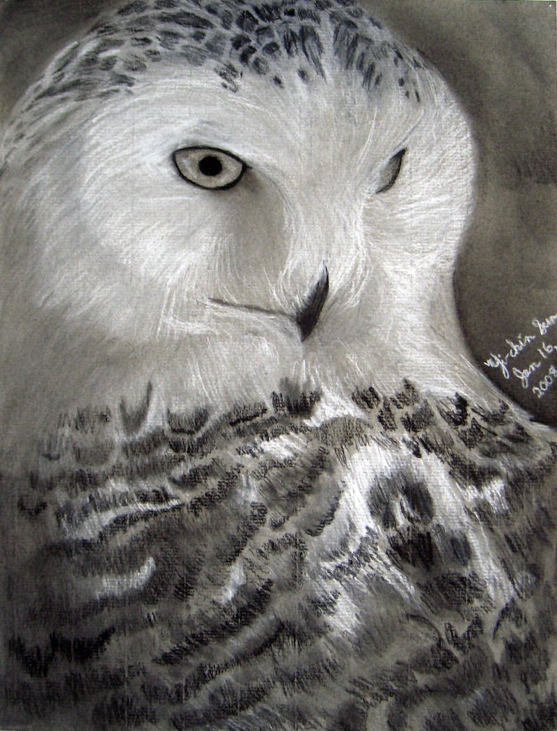 Hedwig