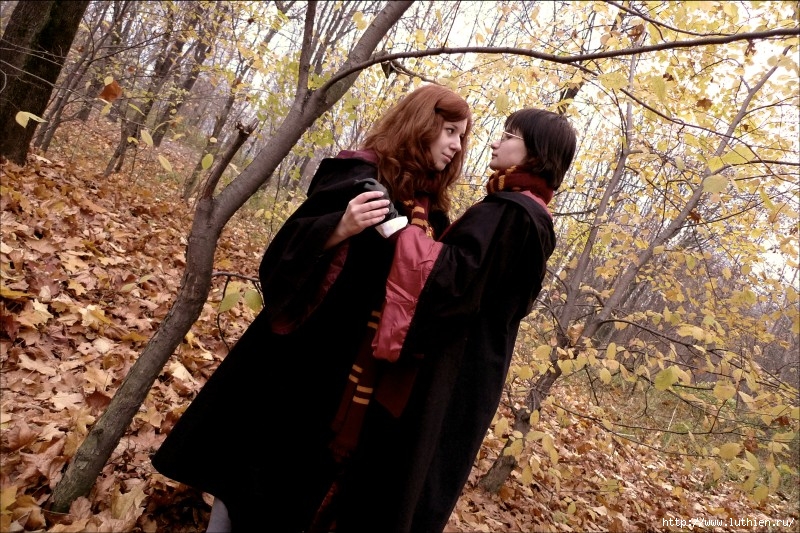 Lily Evans and James Potter