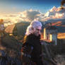 The Witcher World