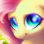 Fluttershy