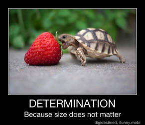 Determination