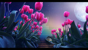 Tulips Island