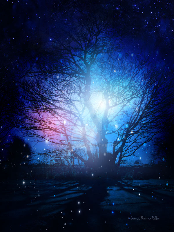 The Magic Tree by Ellysiumn on DeviantArt