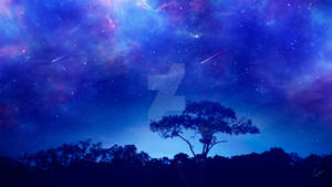 Stellar dreams
