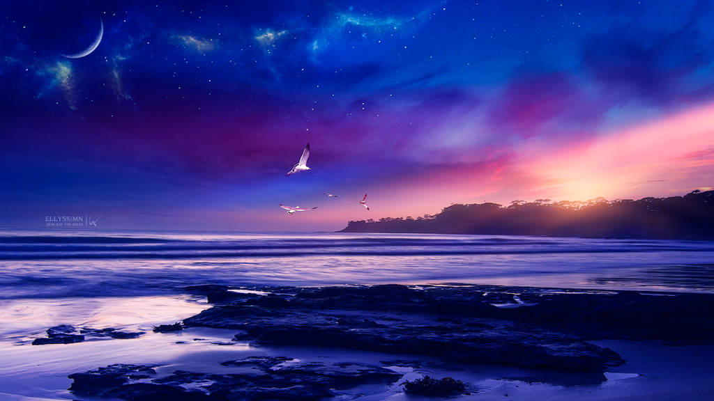 The flight of the seagulls by Ellysiumn