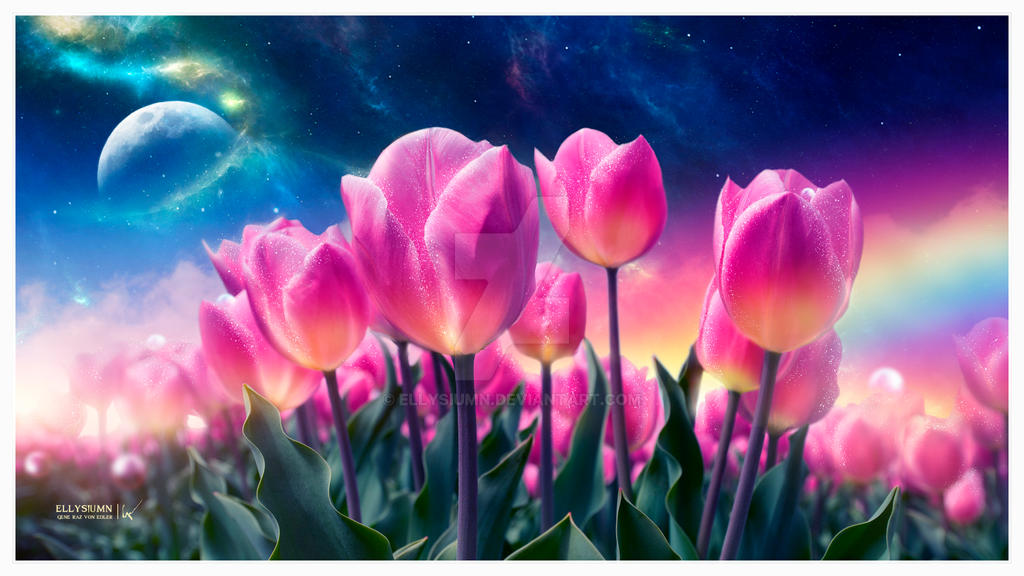The dreamy tulips by Ellysiumn