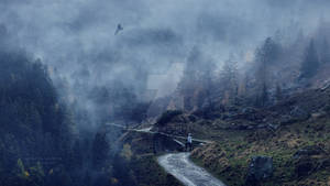 Eagle flying in fog