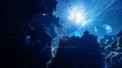 Swimming with the jellyfishes