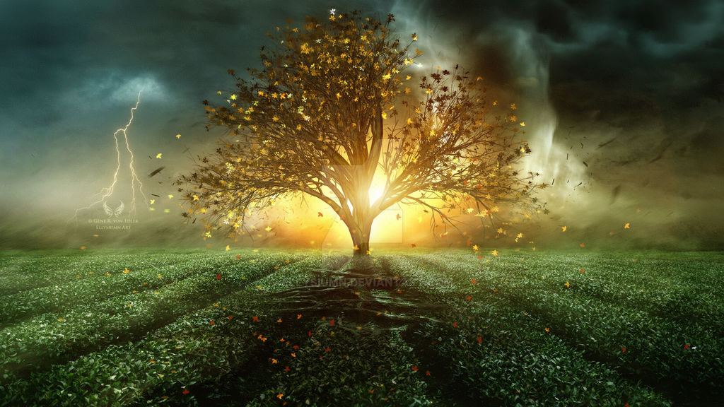 Deep roots by Ellysiumn on DeviantArt