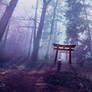 The Sacred Path