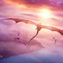 Sunset Dragons