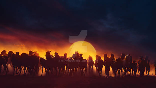 Sunset horse horde