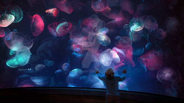 The Magical Aquarium