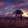 A UFO in the meadow ~ Daily Deviation