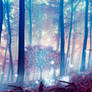 Forest of light